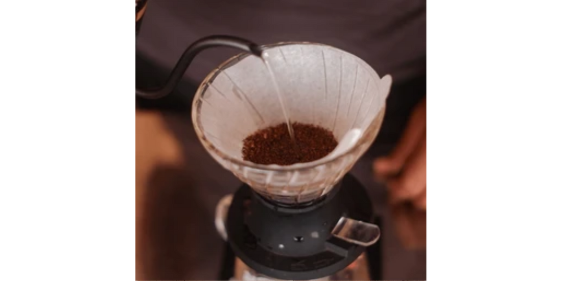 Hario Switch Brew Tips - Chutzpah Coffee Co.