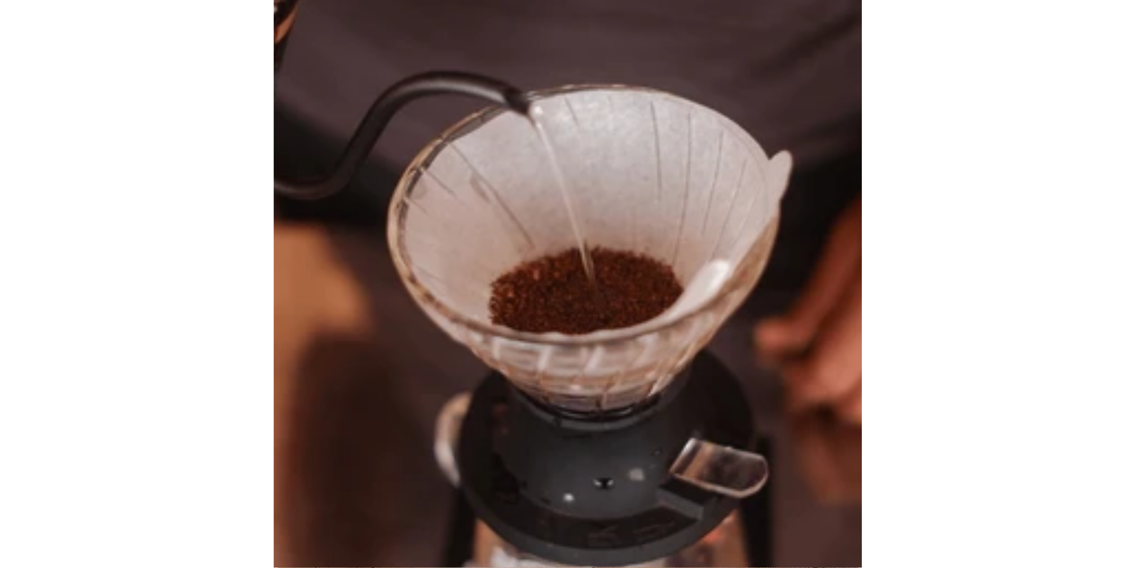 Hario Switch Brew Tips - Chutzpah Coffee Co.